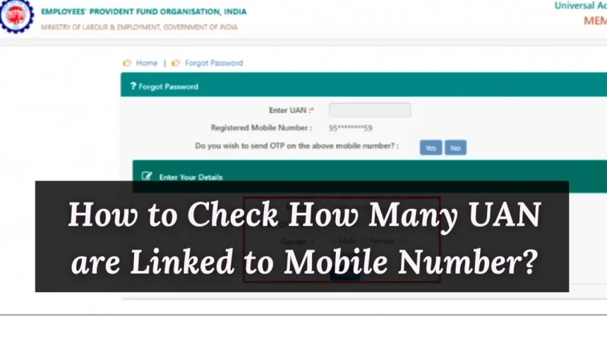 How to Check How Many UAN are Linked to Mobile Number